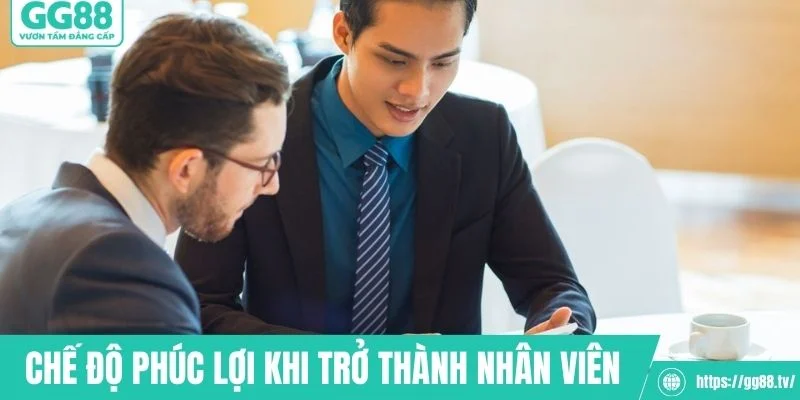Chế độ phúc lợi khi trở thành nhân viên của nhà cái 
