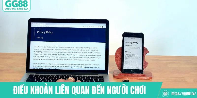 Những điều khoản điều kiện liên quan đến người chơi
